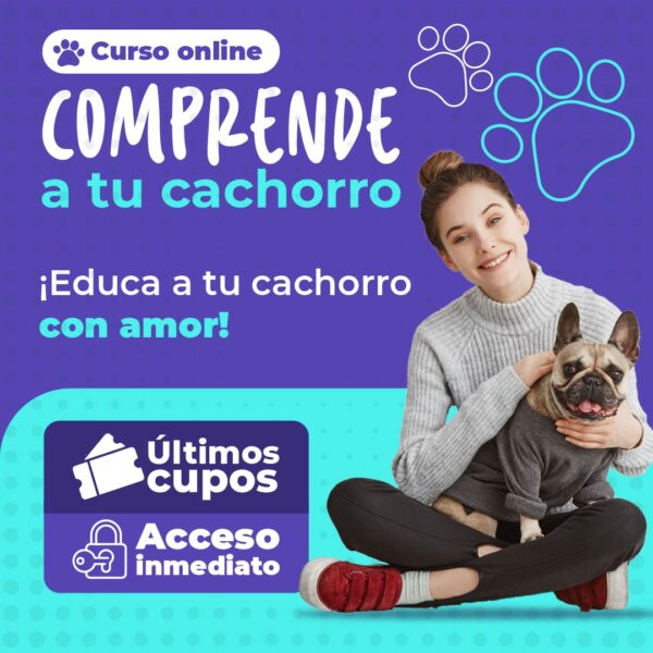 COMPRENDE A TU CACHORRO