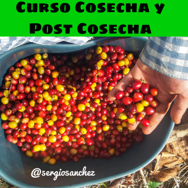 CURSO DE COSECHA