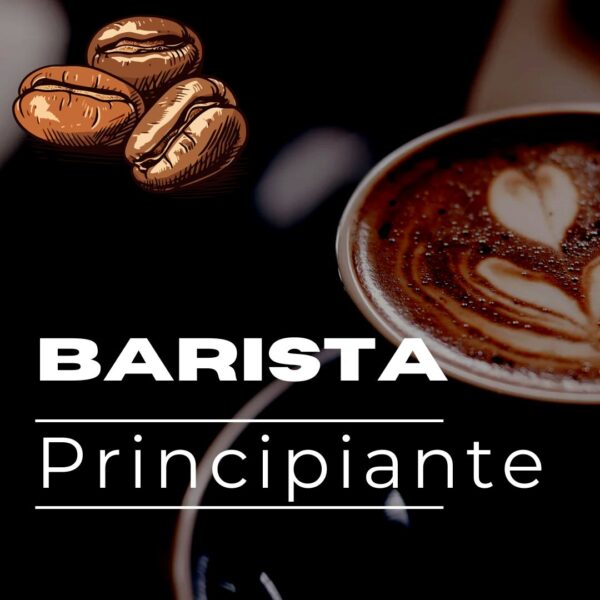 barista principiantes