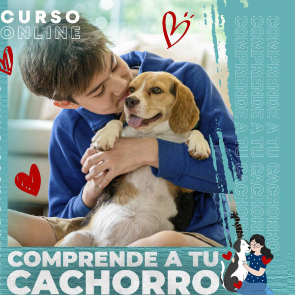 cachorro