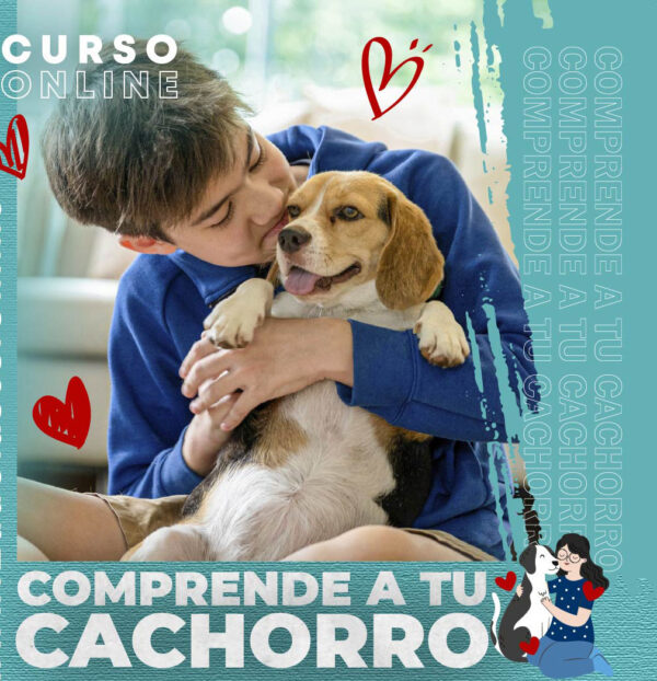 cachorro