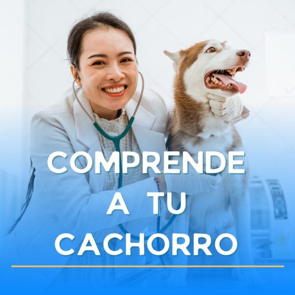 comprende a tu cachorro